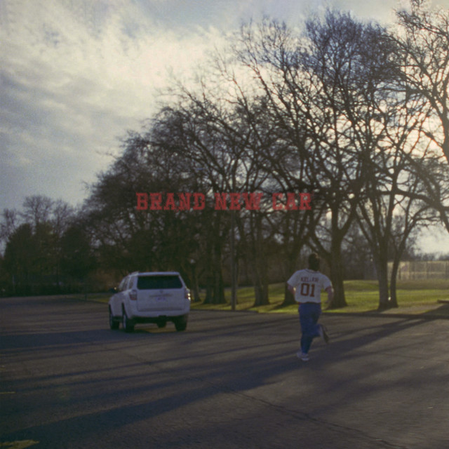 brand new car cover art