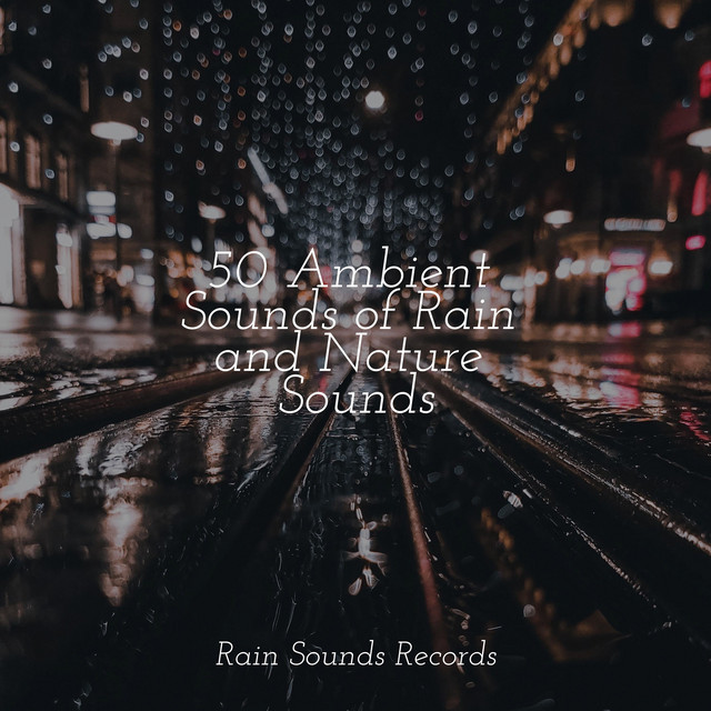 50 Ambient Sounds of Rain and Nature Sounds - Album by Japanese ...
