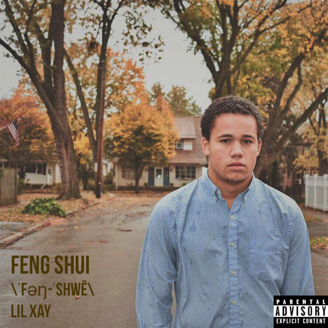 Feng Shui cover art