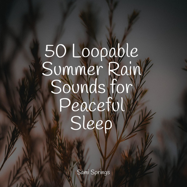 50 Loopable Summer Rain Sounds for Peaceful Sleep - Album by Rain ...