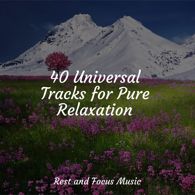40 Universal Tracks for Pure Relaxation - Album by Deep Sleep Systems ...