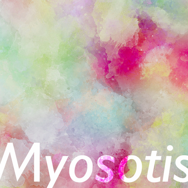 Myosotis - Forget-Me-Not