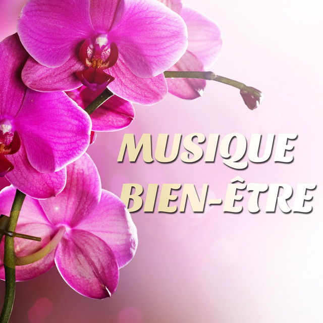 Musique Bien Etre Musique Pour Soigner L Anxiete Le Stress Et L Insomnie Avec Musique D Ambiance Pour La Serenite Et L Harmonie Avec Flute Japonaise Et Sons De La Nature Album By Musique Zen