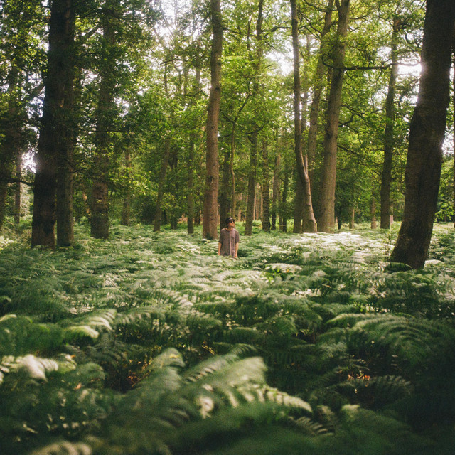 The Garden album image