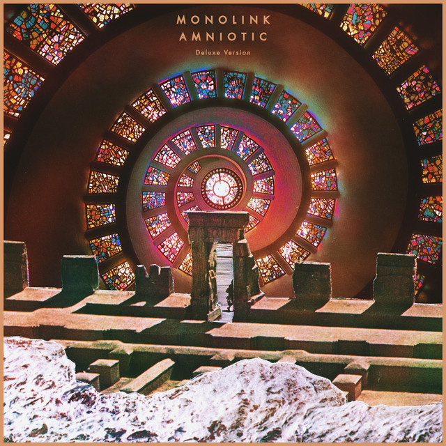 Amniotic (Deluxe Version) cover art