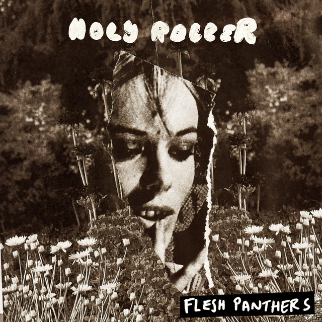 Holy Roller cover