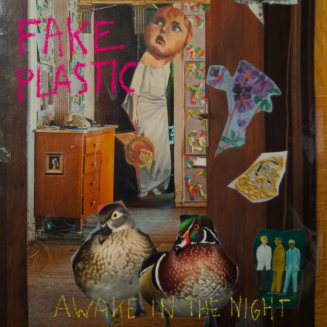 Awake in the Night cover art