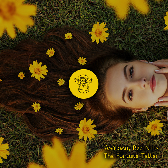 The Fortune Teller cover art