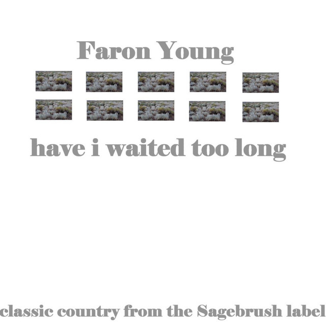 Have I Waited Too Long cover art