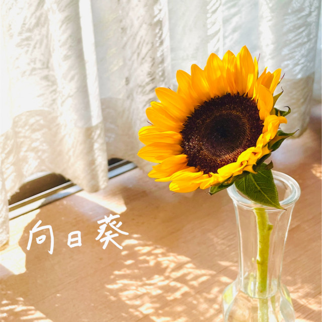 柿澤勇人