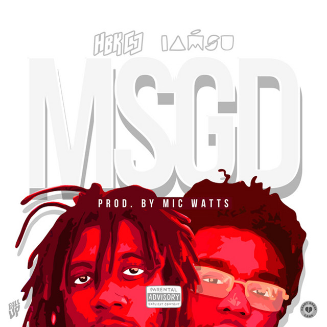 MSGD cover art