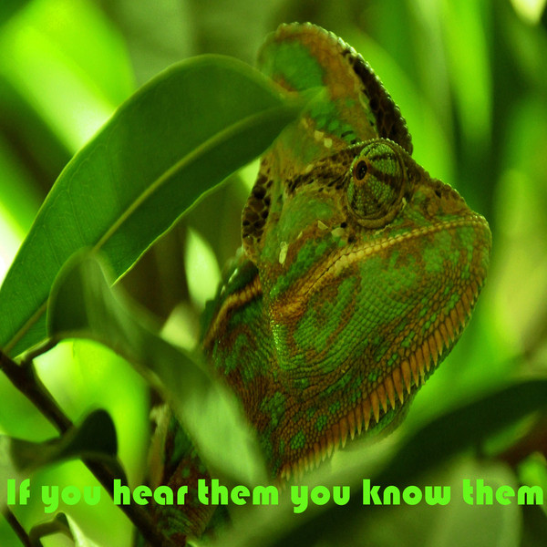 If You Hear Them You Know Them by Behindtupfers