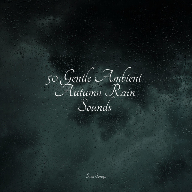 50 Gentle Ambient Autumn Rain Sounds - Album by Binaural Beats Brain ...