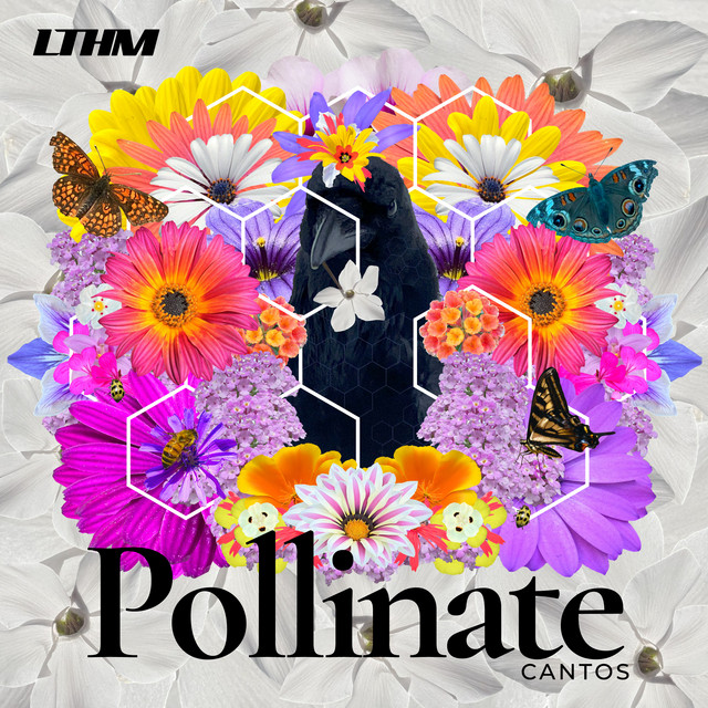 Friday In June album art