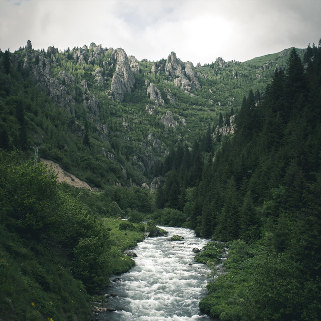 River cover art