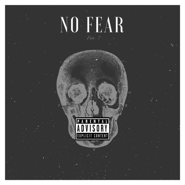 No Fear - Single by SERIOUS DC | Spotify