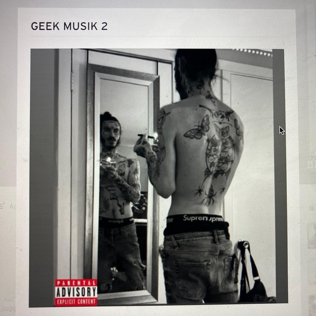 GEEK MUSIK 2 cover art