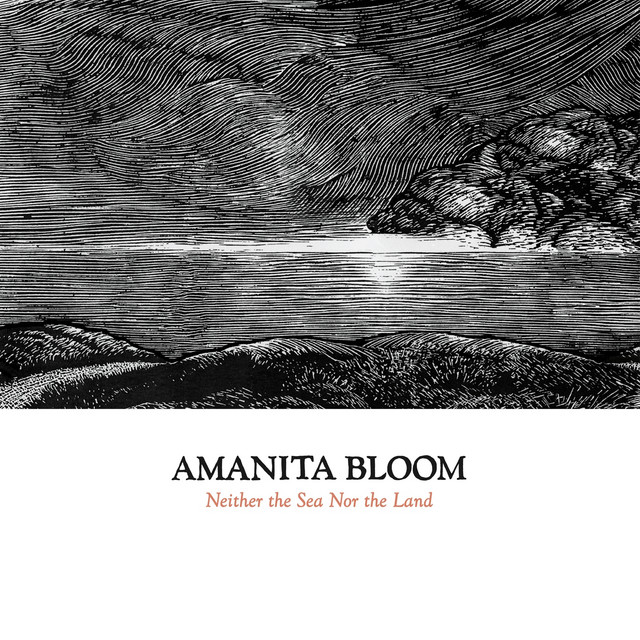 Neither the Sea Nor the Land cover art