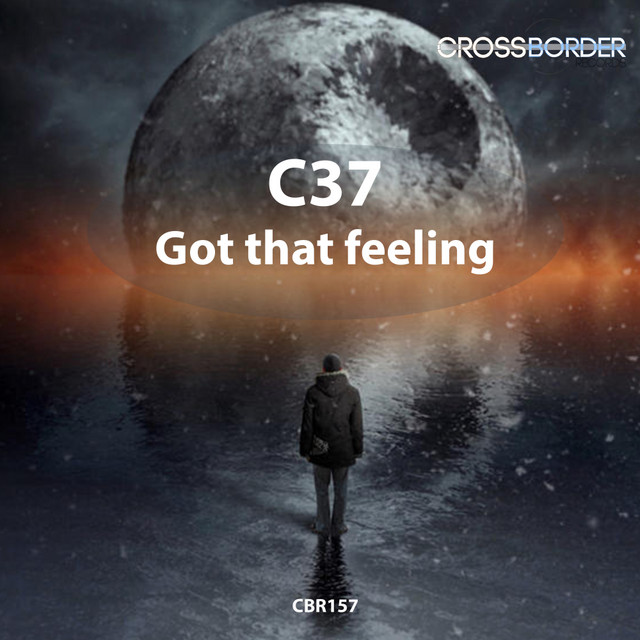 Got That Feeling cover art
