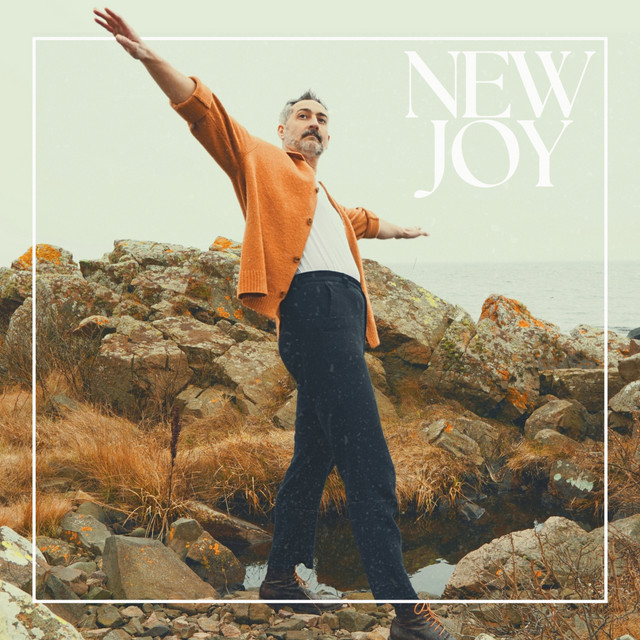 New Joy cover