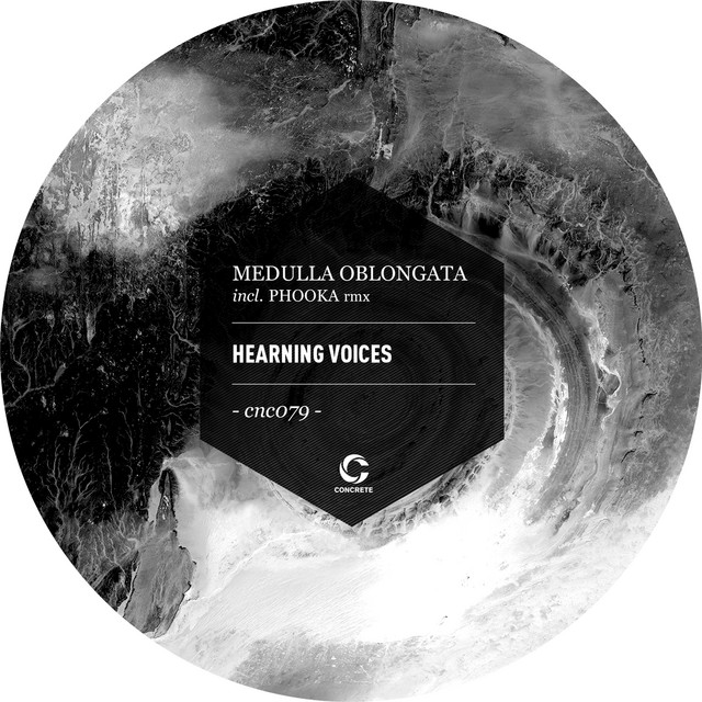 Hearning Voices cover