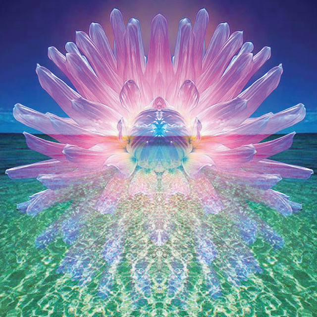Sen cover art