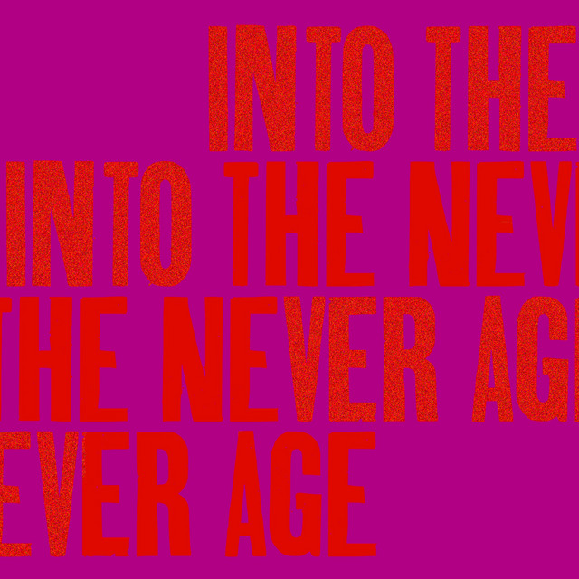 Into The Never Age cover