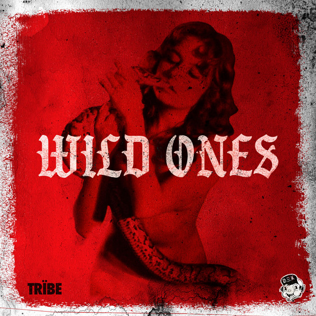 WILD ONES cover art