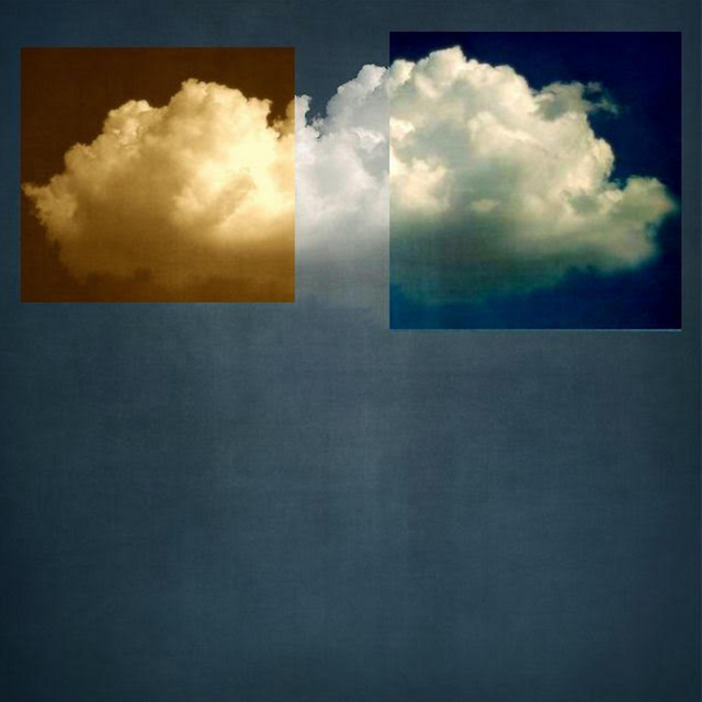 Pure cover art