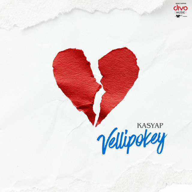 Vellipokey cover art