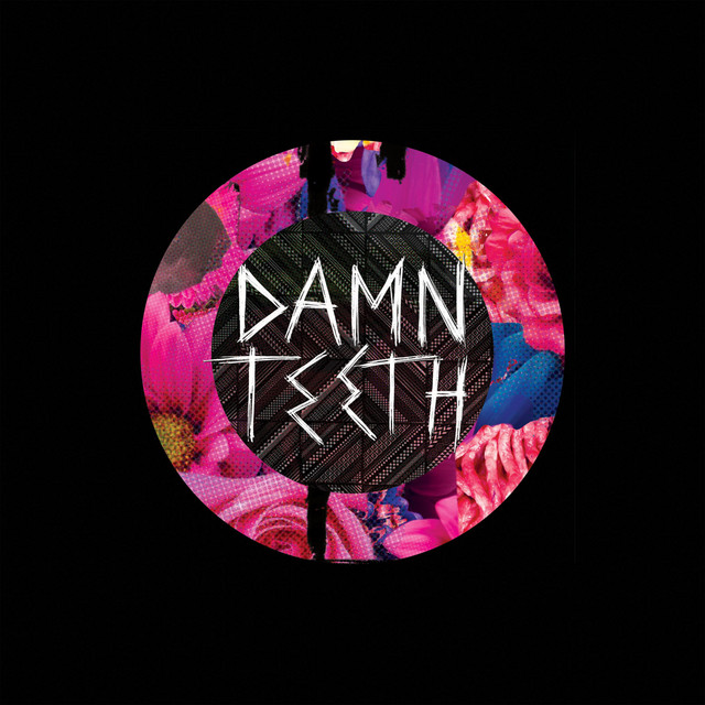 Damn Teeth cover