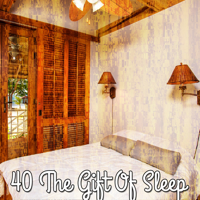 40 The Gift Of Sleep cover art