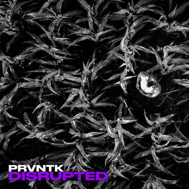 DISRUPTED cover art