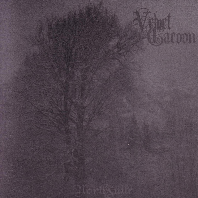 Velvet Cacoon Photo