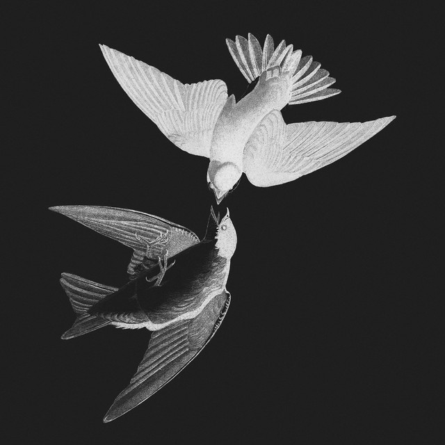 Hibris: desmesura y arrogancia cover art