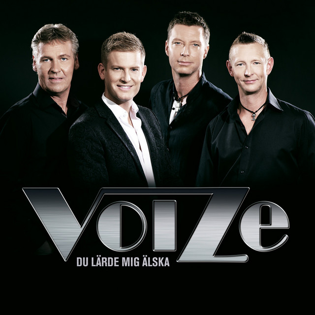 Du lärde mig älska cover art