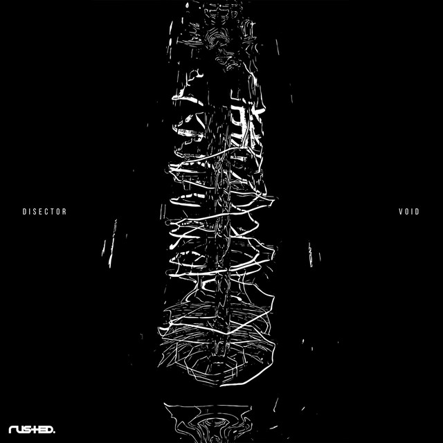 Void cover art