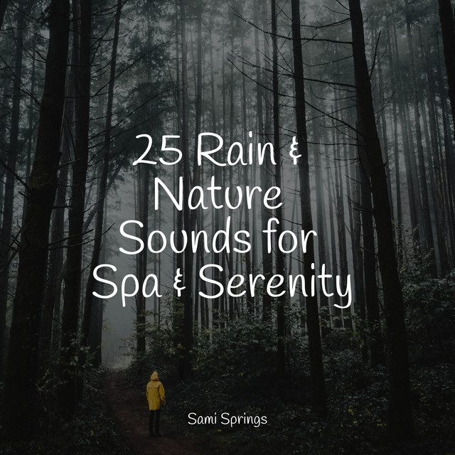 25 Rain & Nature Sounds for Spa & Serenity - Album by Massagem | Spotify