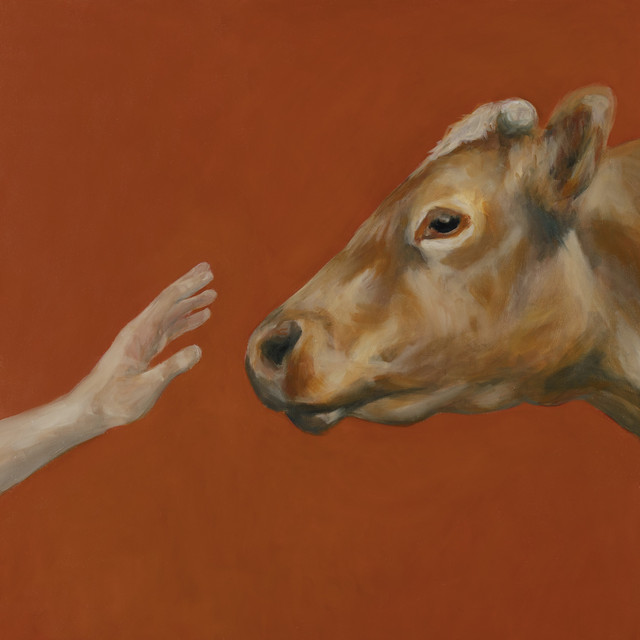 Animal Liberation cover art
