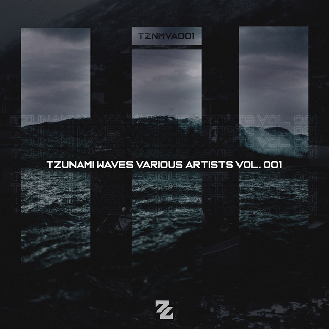 Tzunami Waves Various Artists, Vol. 1 cover art