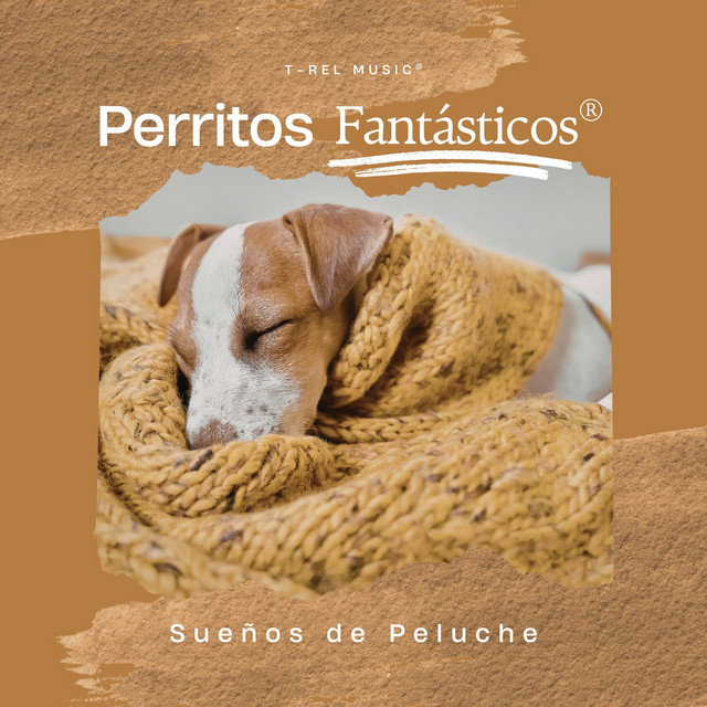 Sueños de Peluche