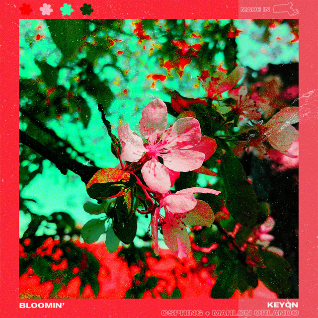 Blooming