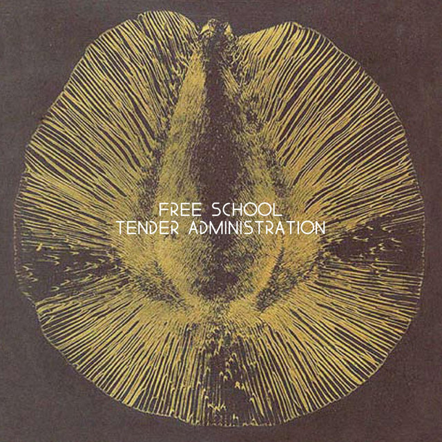 Tender Administration cover art