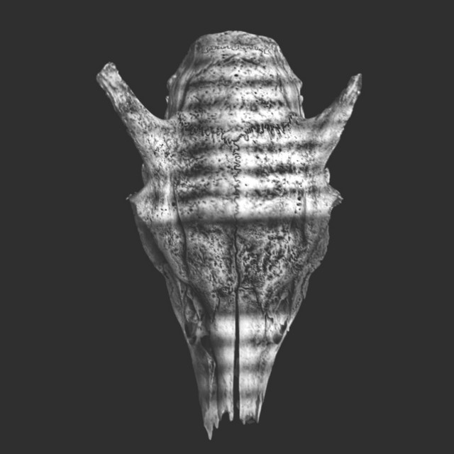 Overdrive cover art