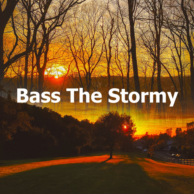 Bass The Stormy - Album by Pro Sound Effects Library | Spotify