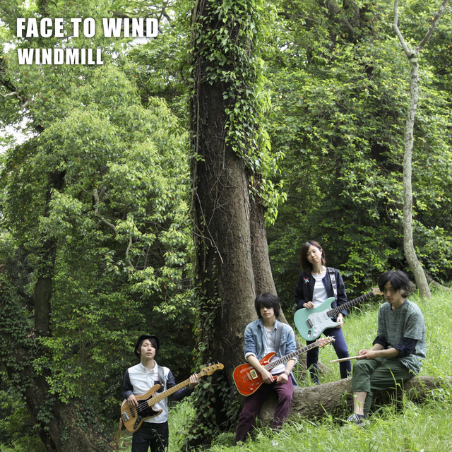 FACE TO WIND cover art
