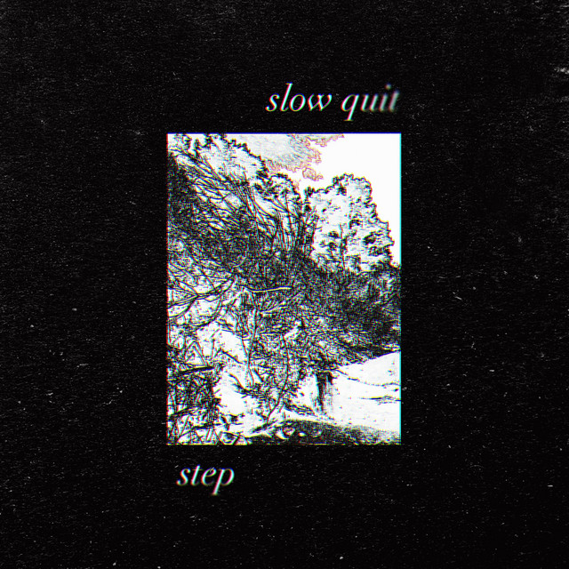 Step cover art