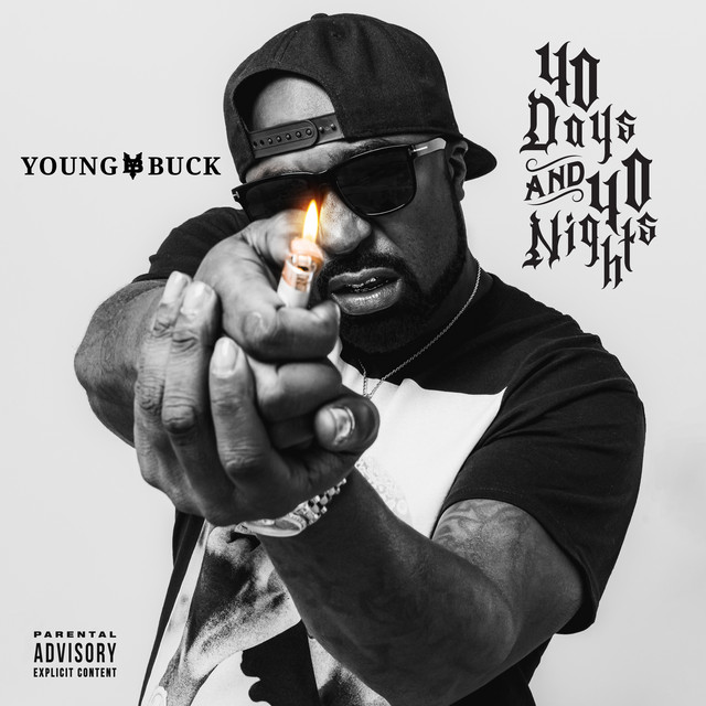 40 Days and 40 Nights cover art