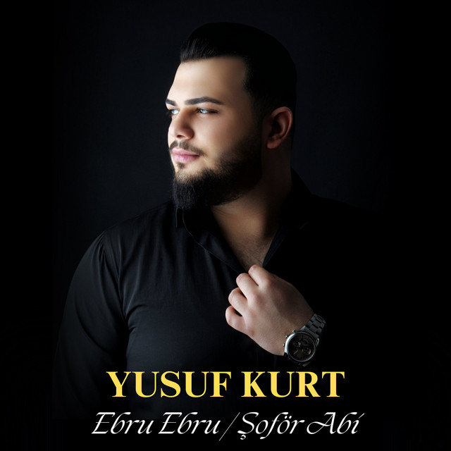 Ebru Ebru / Şoför Abi cover art