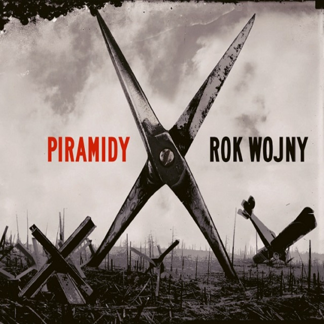 Rok wojny cover art